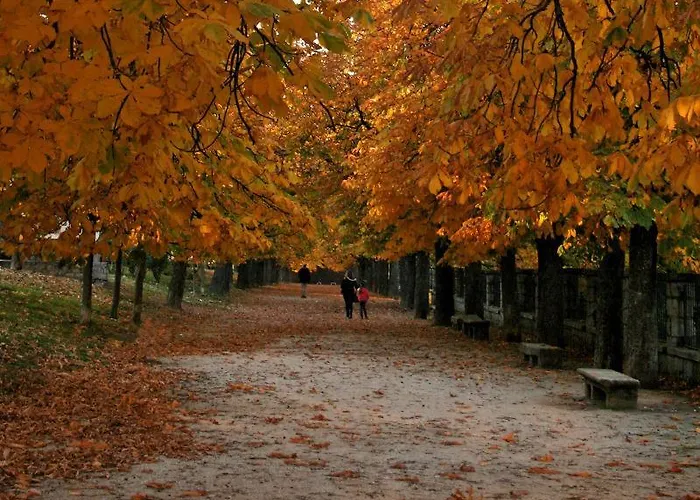 Апартаменты El Romero Хервас